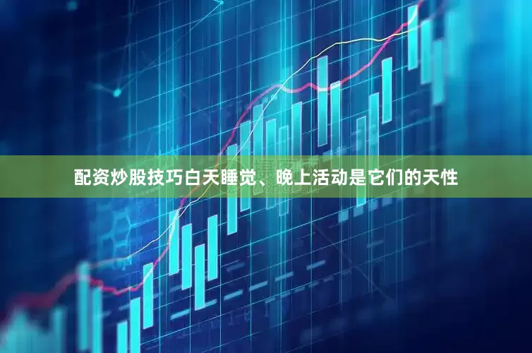 配资炒股技巧白天睡觉、晚上活动是它们的天性